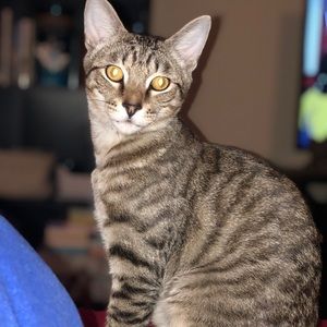 Meet your Posher, Nina